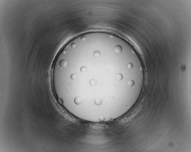 X0000101200899200806270827