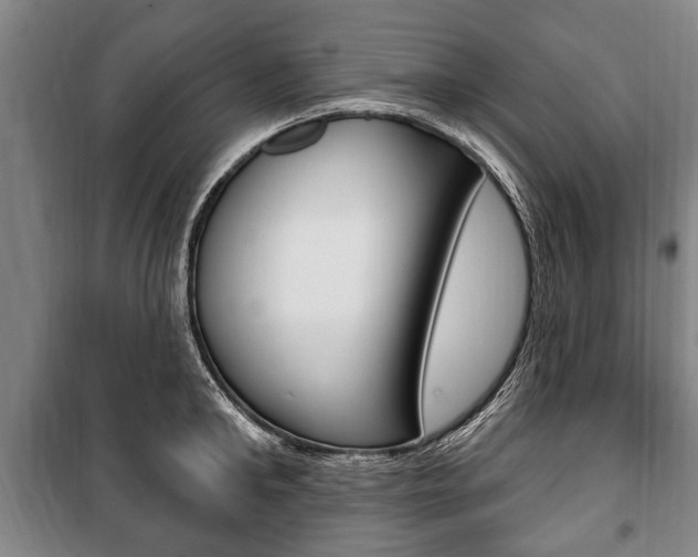 X0000101200902200806270827