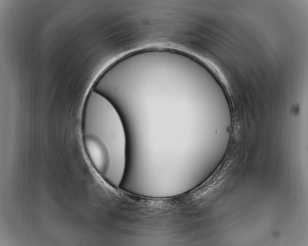 X0000101200903200806270827