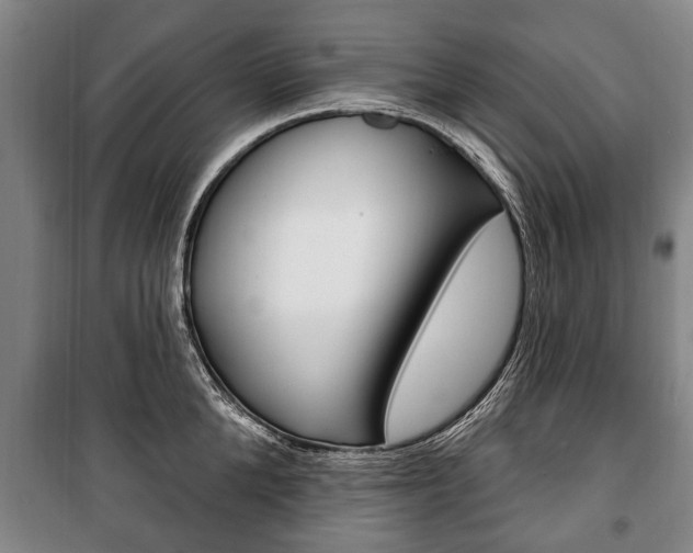 X0000101200904200806270827