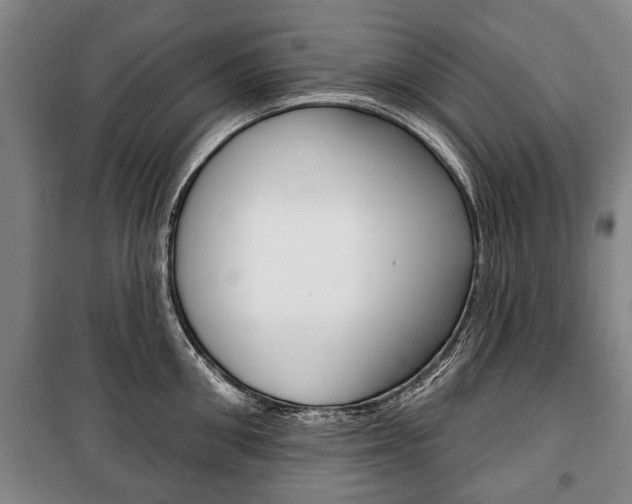 X0000101200906200806270827