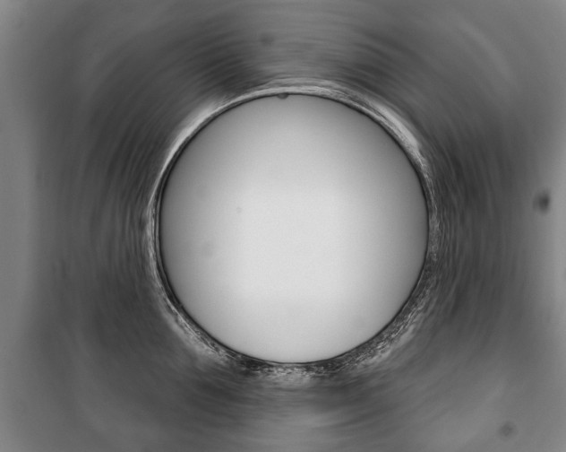 X0000101200907200806270827