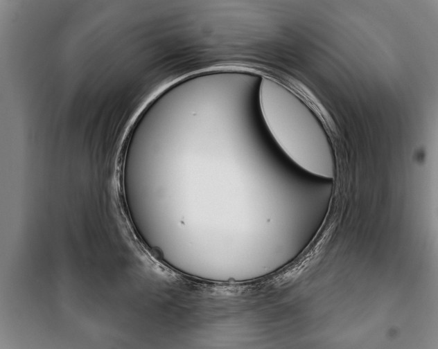 X0000101200908200806270827