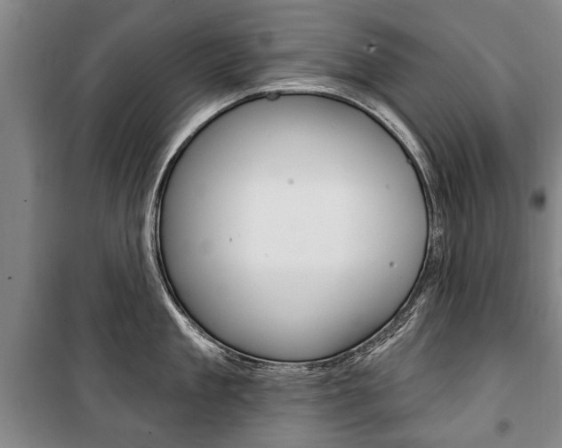 X0000101200909200806270827