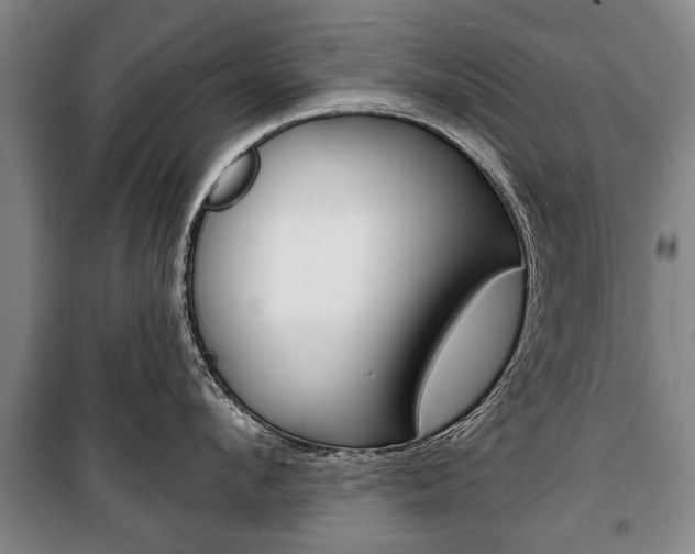 X0000101200912200806270827