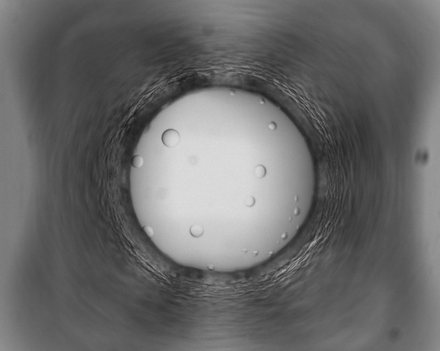 X0000101200913200806270826