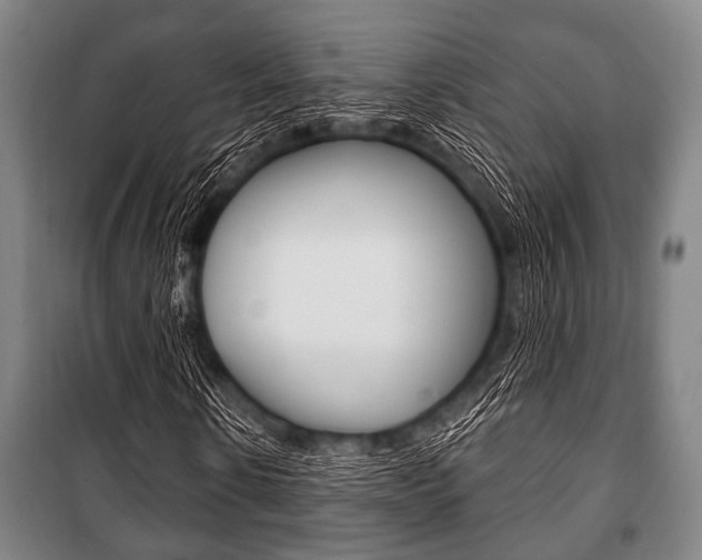 X0000101200914200806270826