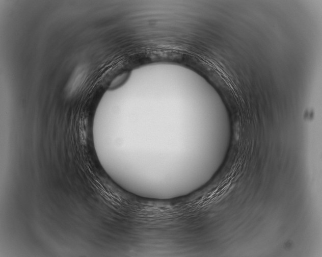 X0000101200915200806270826