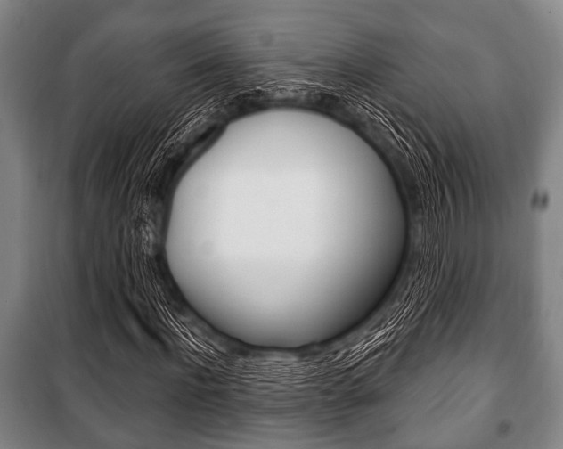 X0000101200916200806270826