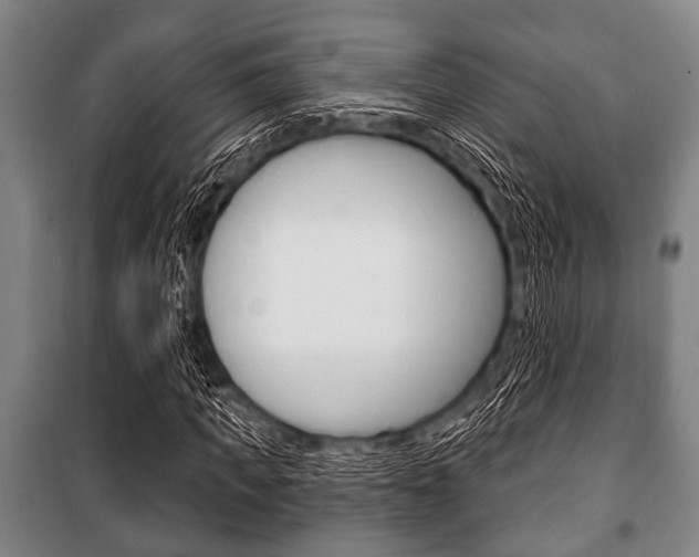 X0000101200917200806270826