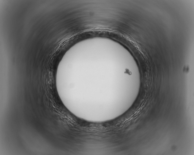 X0000101200918200806270826