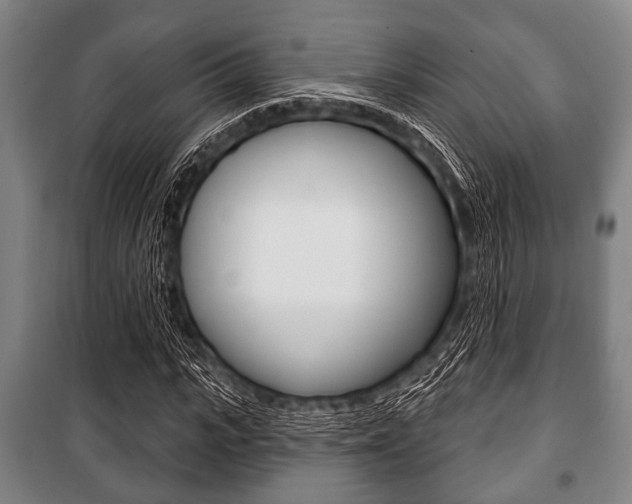 X0000101200919200806270826