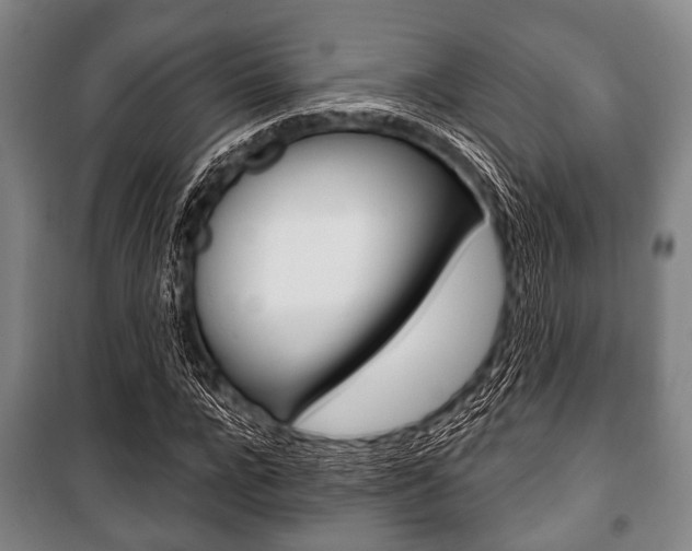 X0000101200920200806270826