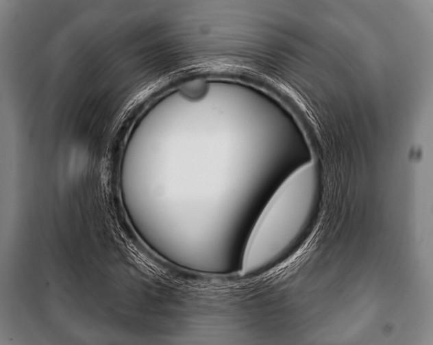 X0000101200922200806270826