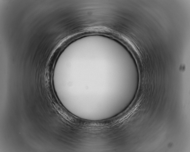 X0000101200923200806270826