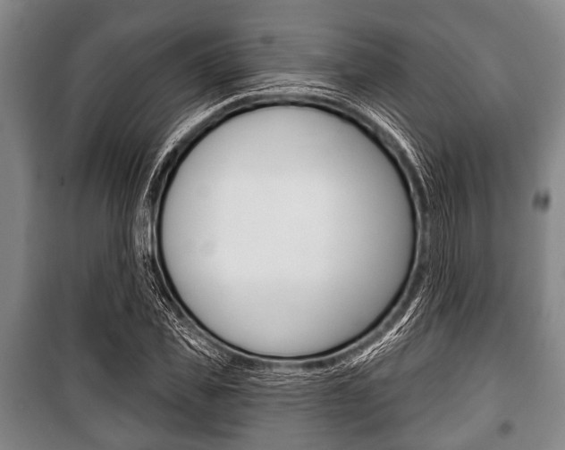 X0000101200925200806270826