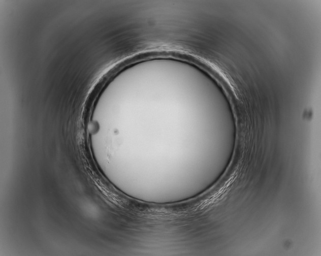 X0000101200927200806270826
