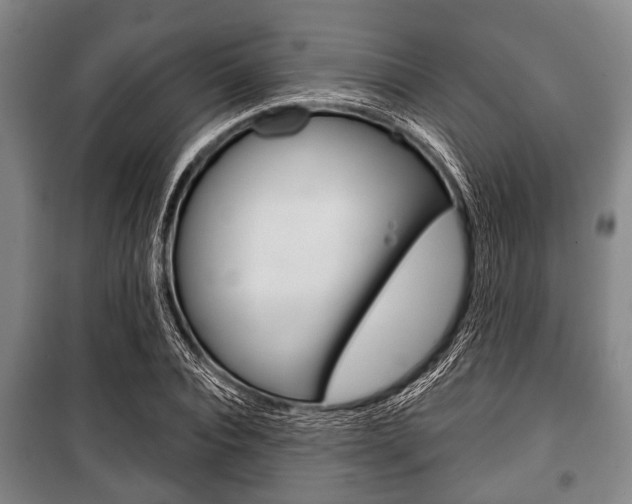 X0000101200928200806270826