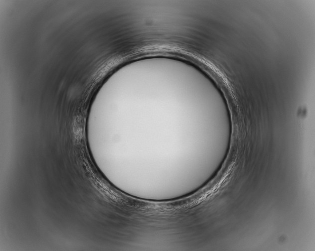 X0000101200929200806270826