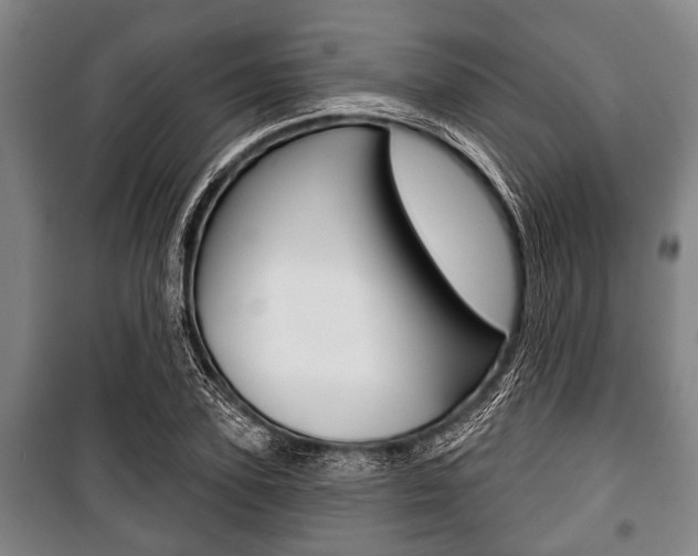 X0000101200931200806270826