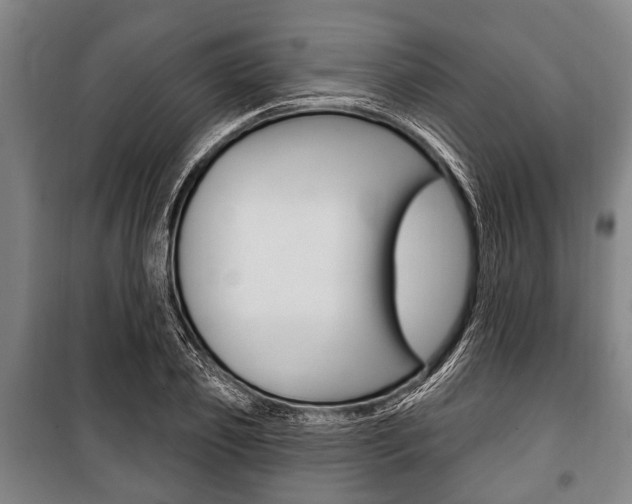 X0000101200933200806270826