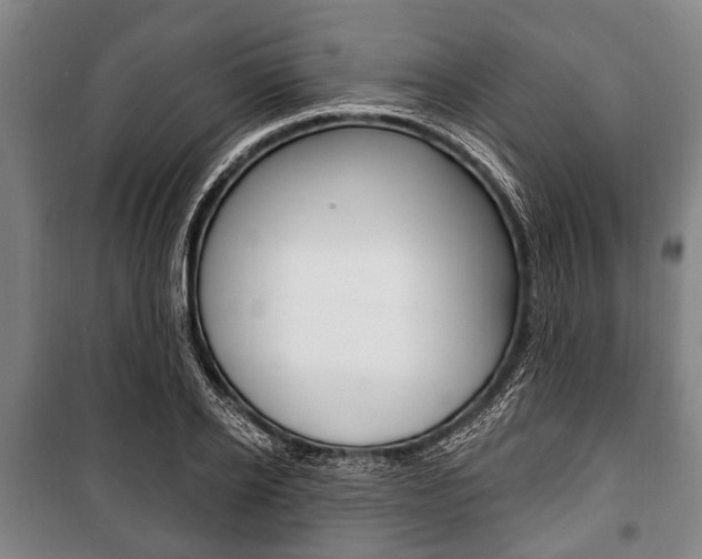 X0000101200934200806270826
