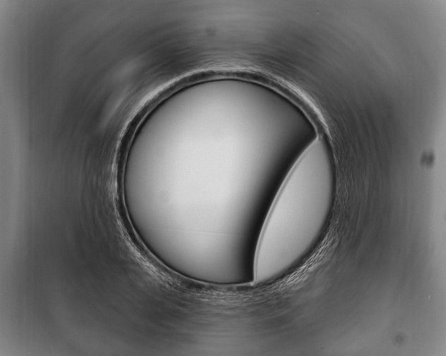 X0000101200935200806270826
