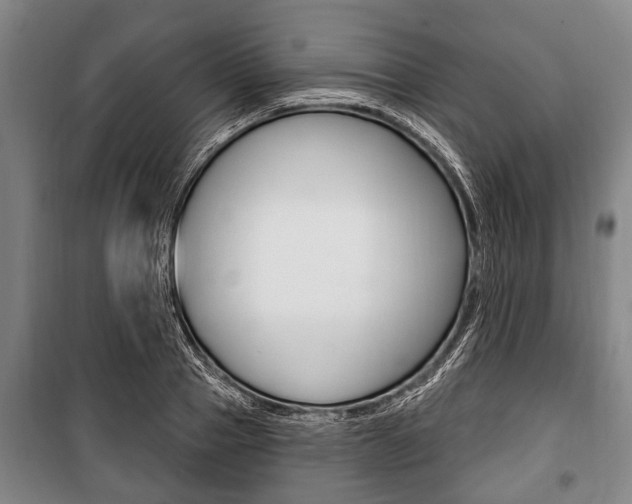 X0000101200937200806270826