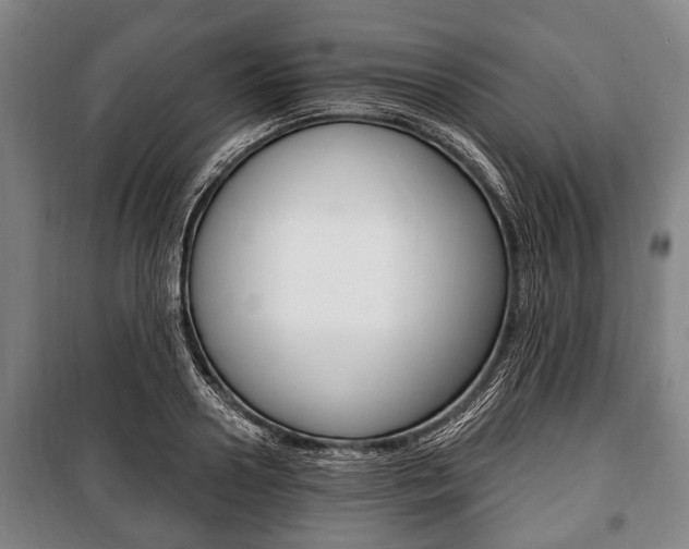 X0000101200938200806270826
