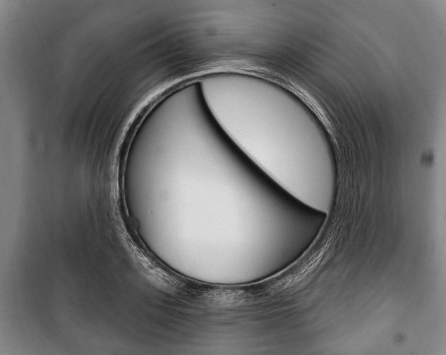 X0000101200939200806270826
