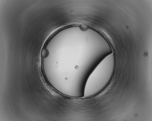 X0000101200940200806270826