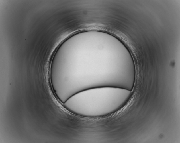 X0000101200941200806270826
