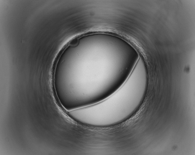 X0000101200942200806270827