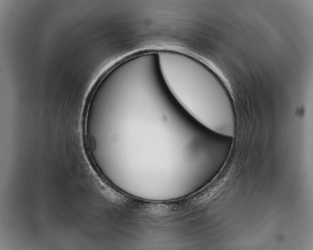 X0000101200943200806270827