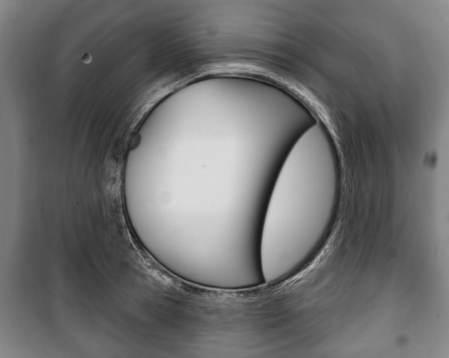 X0000101200945200806270827