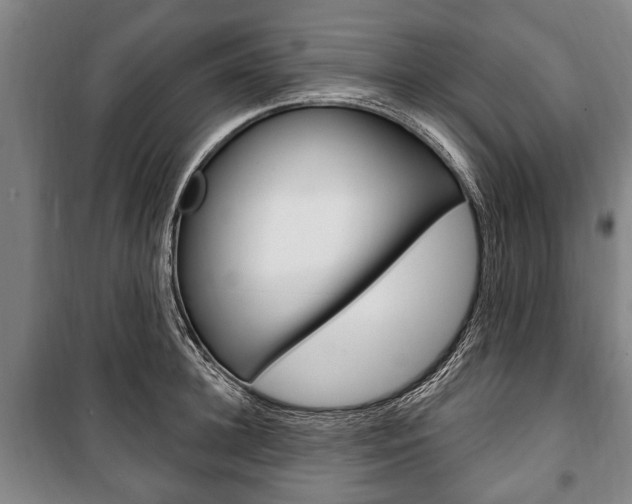 X0000101200948200806270827