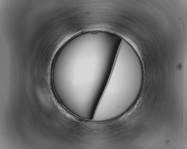 X0000101200949200806270827