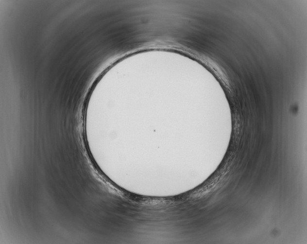X0000101200950200806270827