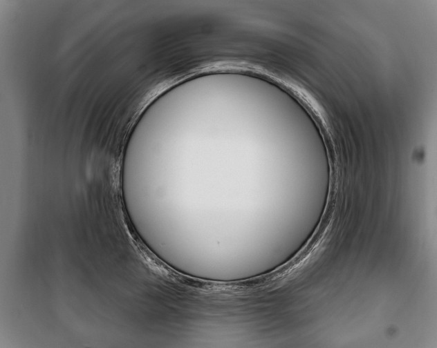X0000101200953200806270827