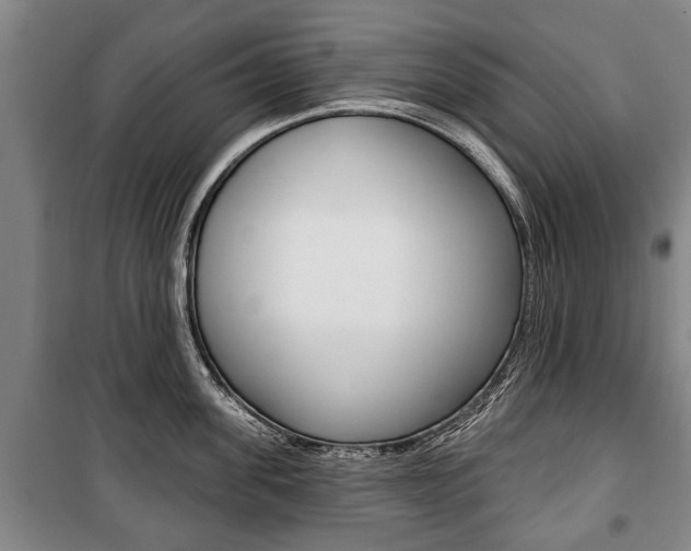 X0000101200955200806270827