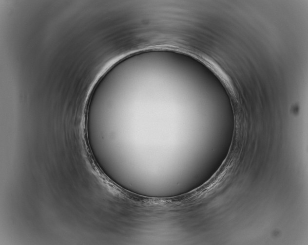 X0000101200956200806270827