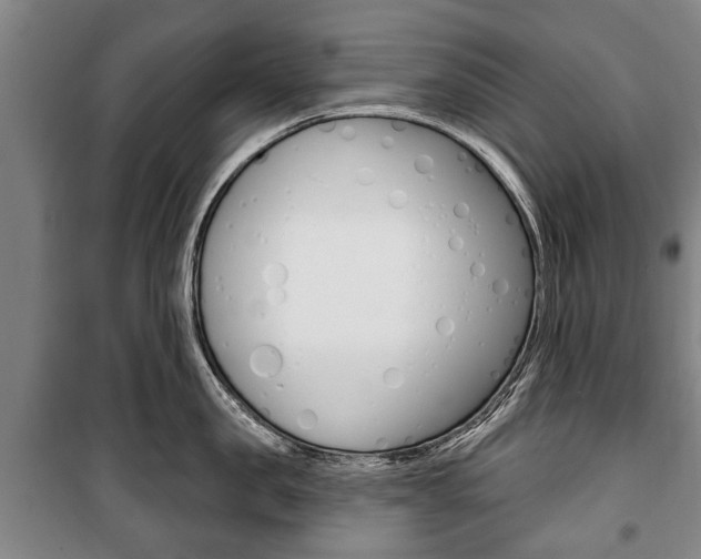 X0000101200957200806270827