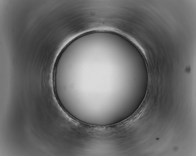 X0000101200959200806270827