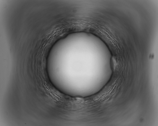X0000101200961200806270826