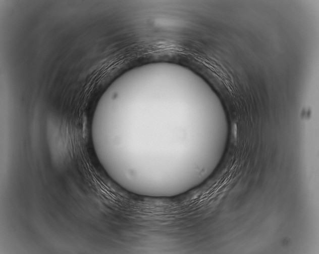 X0000101200963200806270826