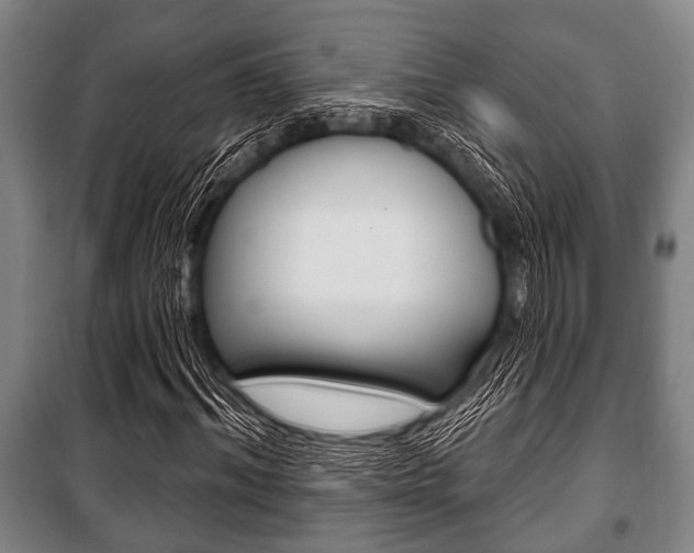 X0000101200964200806270826