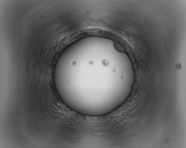 X0000101200965200806270826