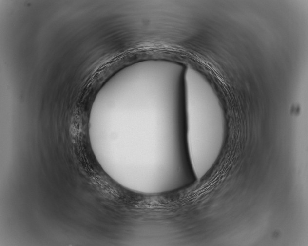 X0000101200966200806270826