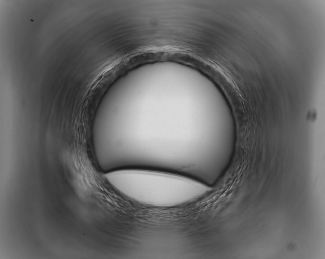 X0000101200967200806270826