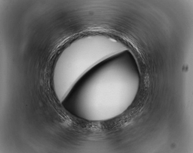 X0000101200968200806270826